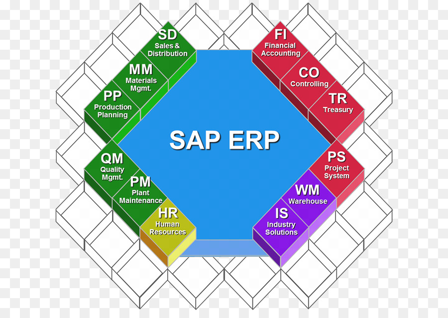 SAP Nedir? En Çok Kullanılan Modüller Hangileridir?