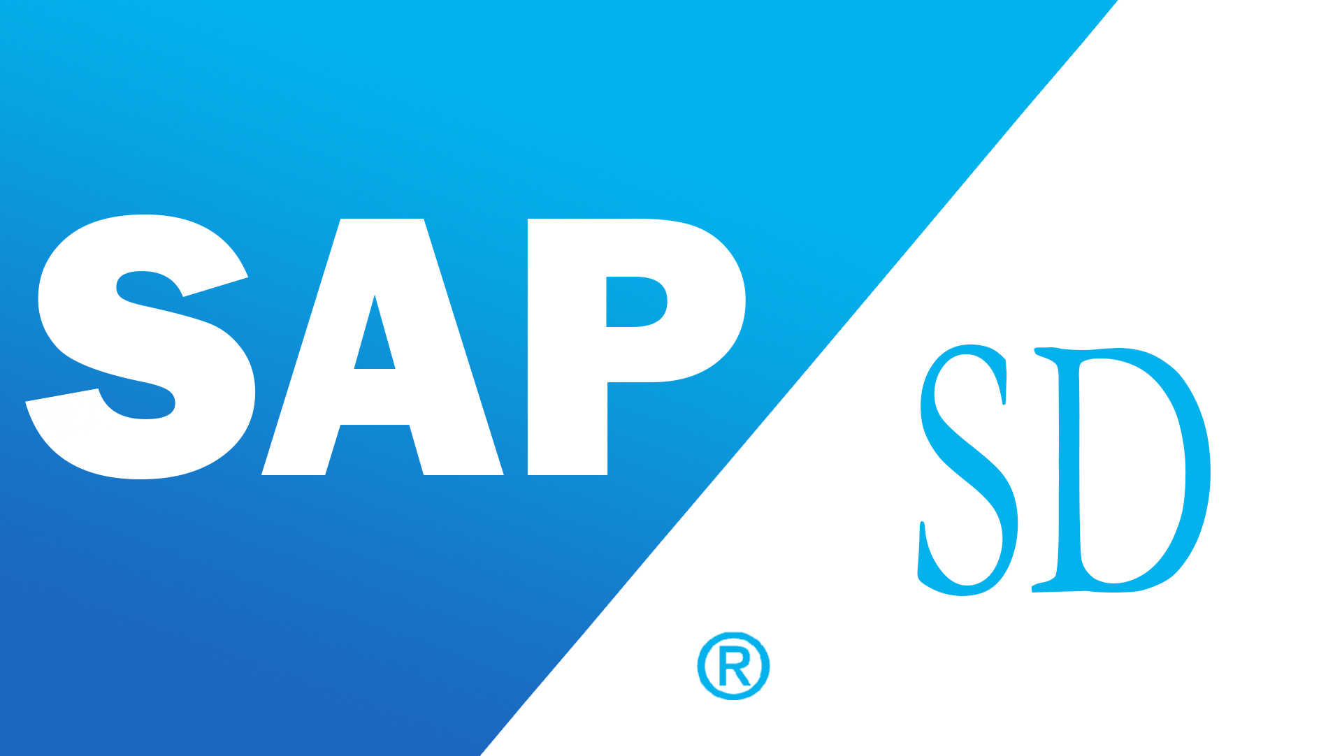 sap-sd-modulu-nedir